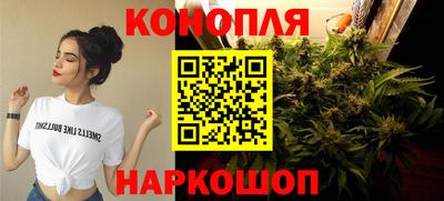 ГАЛЛЮЦИНОГЕННЫЕ ГРИБЫ Кингисепп