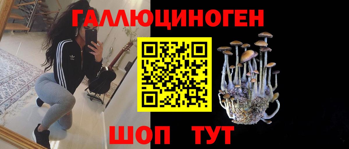 Галлюциногенные грибы Cubensis Кумертау